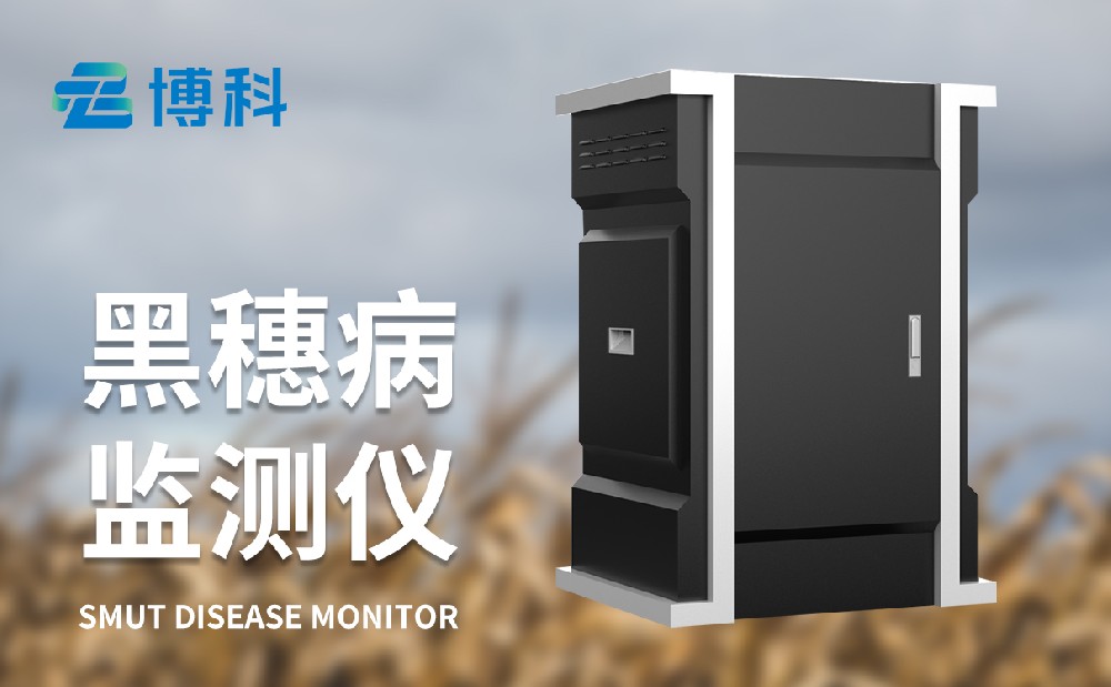玉米黑穗病监测仪为玉米病害治理提供帮助